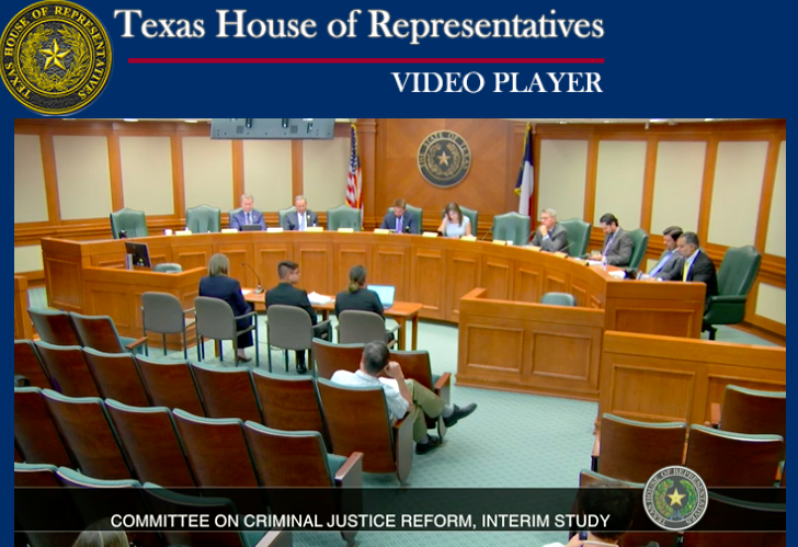 Screengrab of Sarah testifying in front of a committee