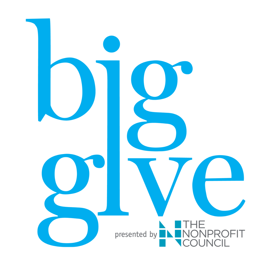 Big Give San Antonio logo